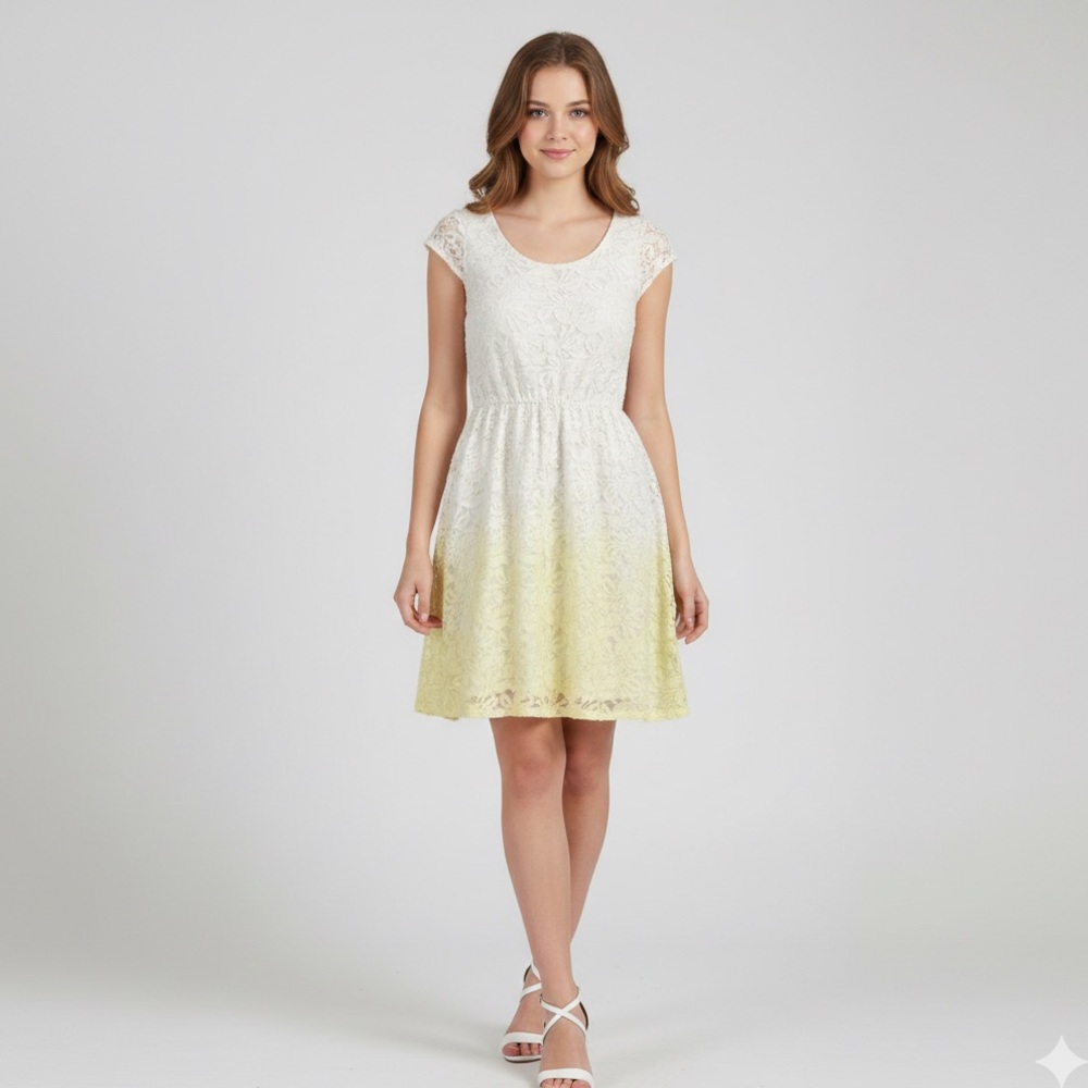 Lined Lace Dress Fit & Flare Ombre Mini Spring Summer Easter Vacation Fairy